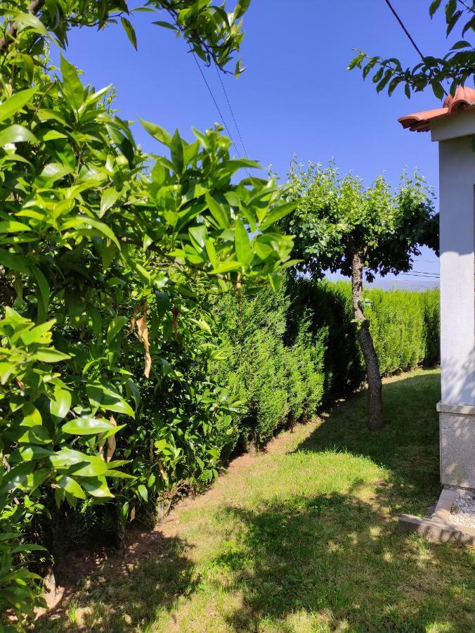 Casas Do Paco - Casas De Ferias 카베세이라스 드 바스투 외부 사진
