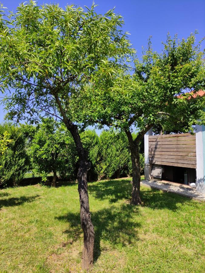 Casas Do Paco - Casas De Ferias 카베세이라스 드 바스투 외부 사진
